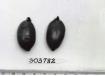 Click for 1 image(s) for this accession. FRUIT